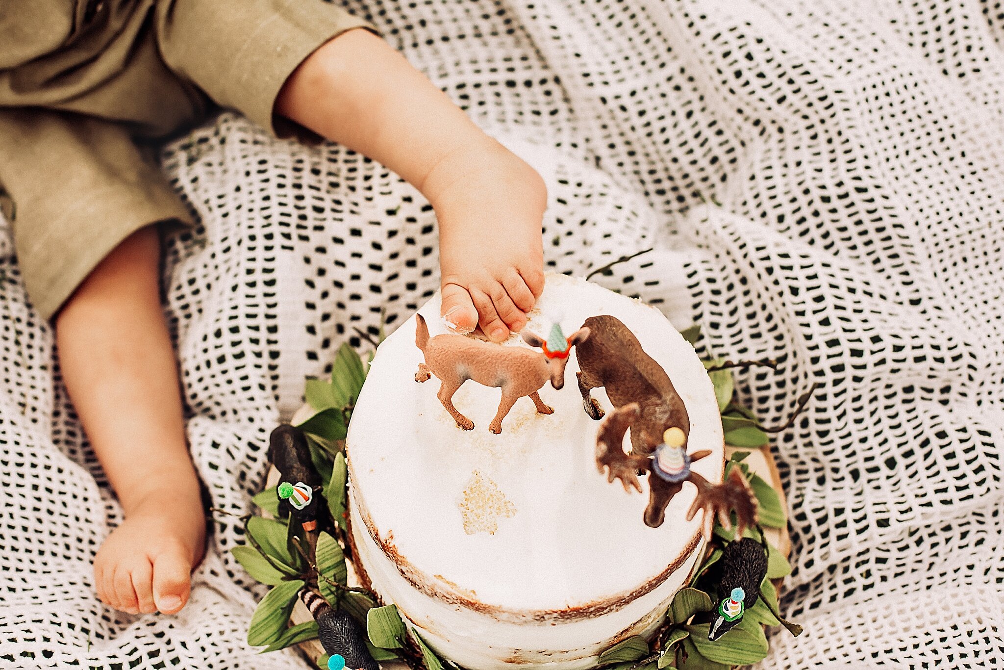 Woodland Themed Cake Smash New Jersey Photographer_0001.jpg