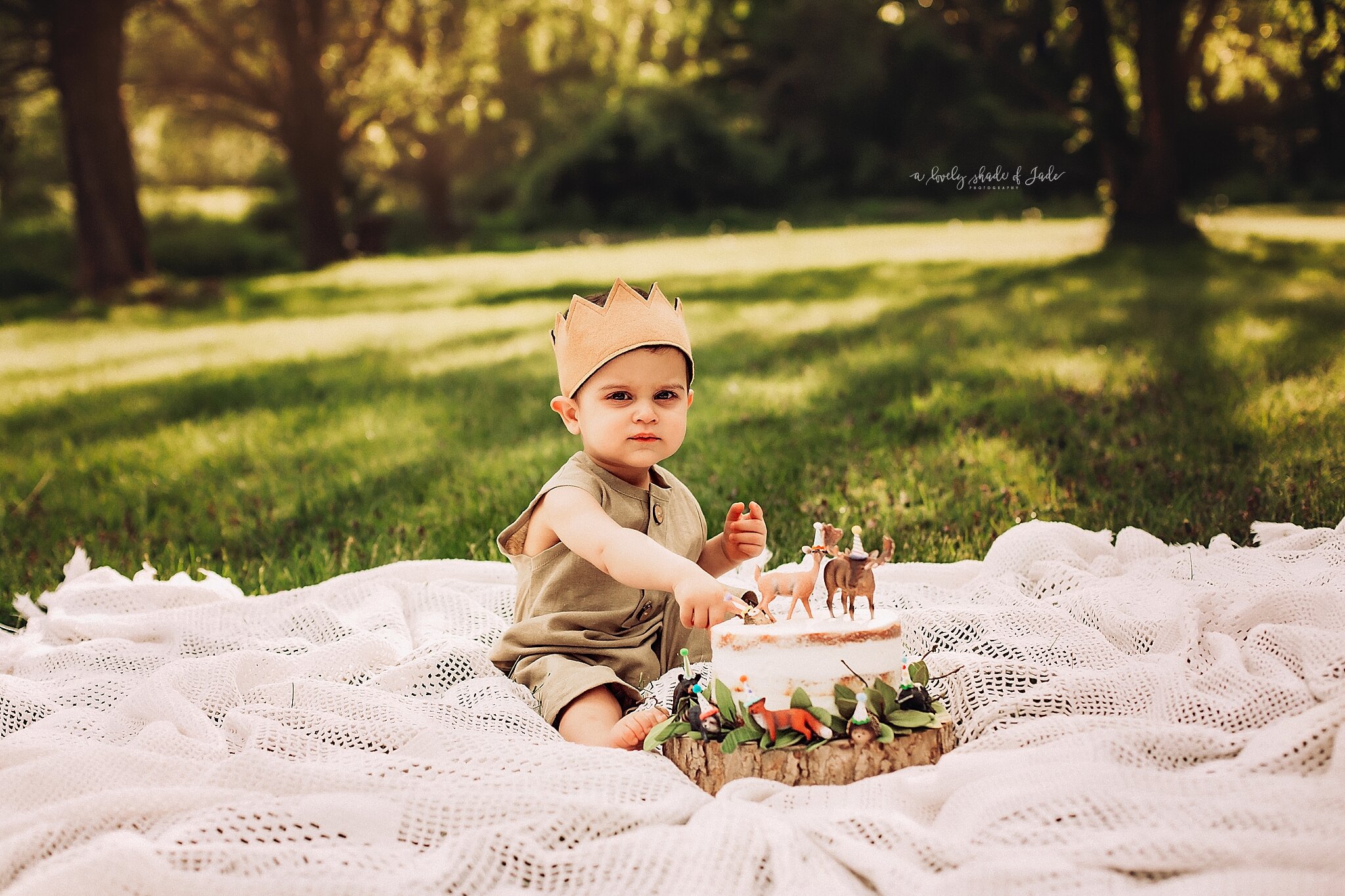 Woodland Themed Cake Smash New Jersey Photographer_0002.jpg