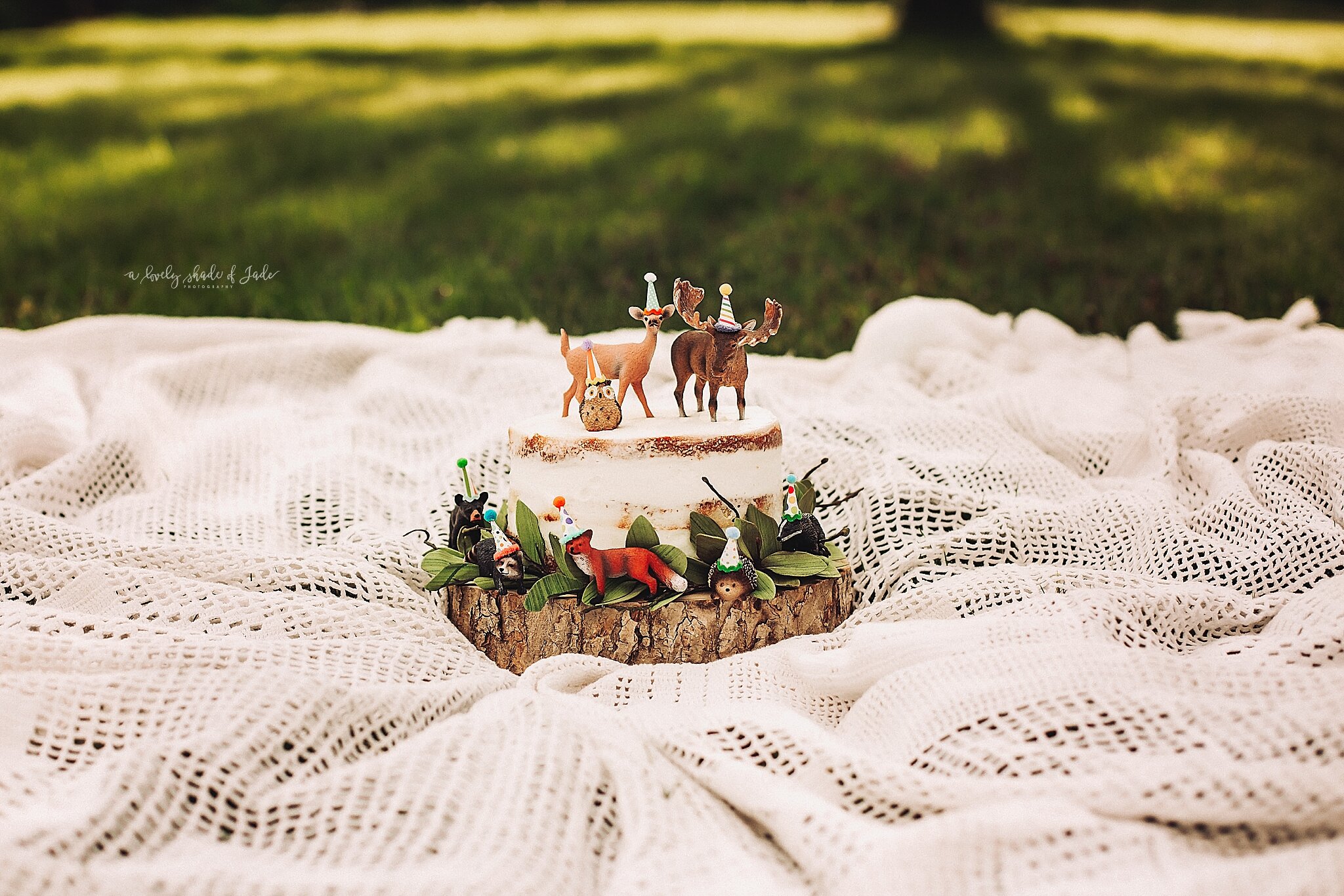 Woodland Themed Cake Smash New Jersey Photographer_0014.jpg