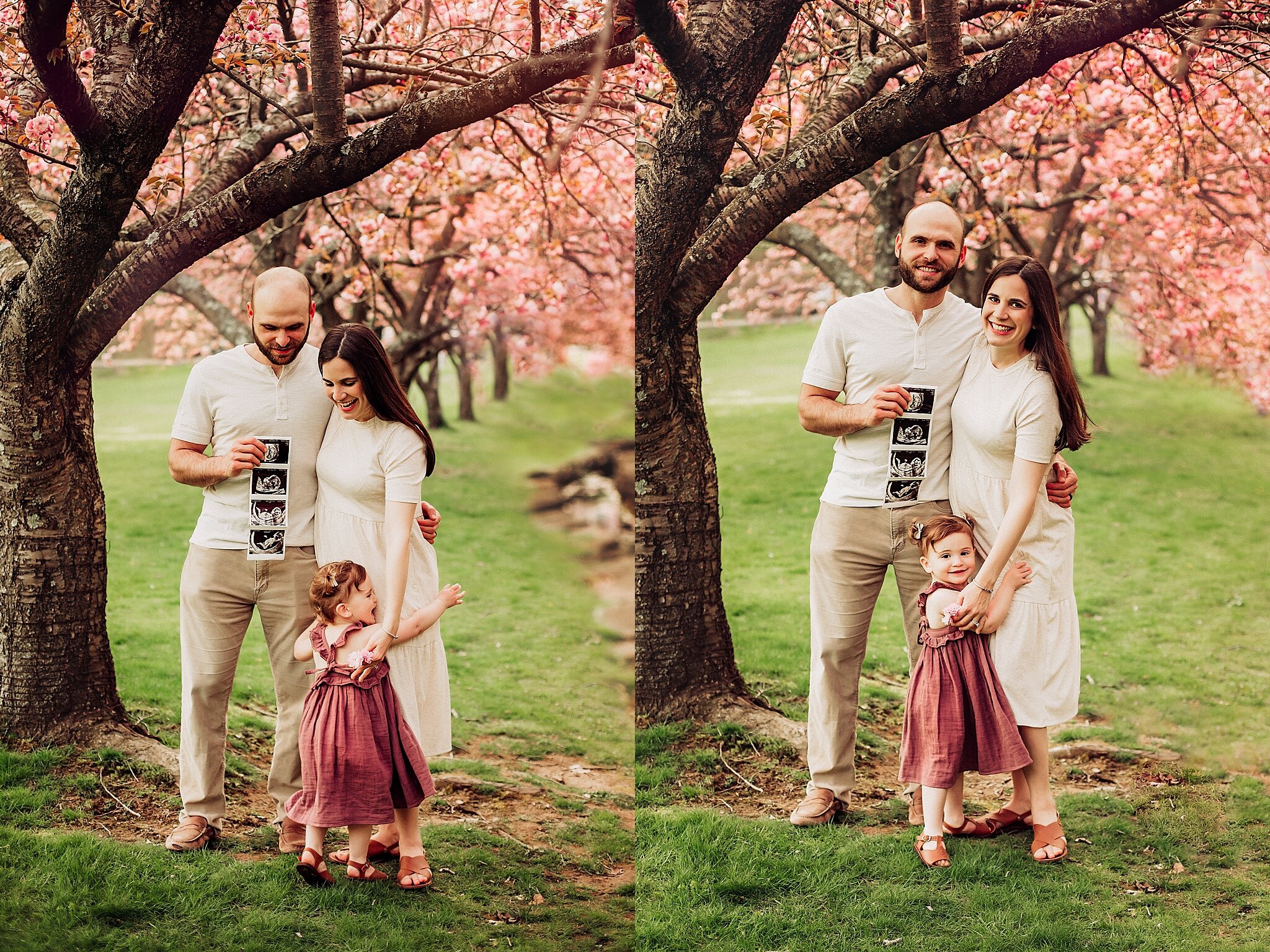 Cherry Blossom Baby Announcement Morristown NJ Photographer_0004.jpg