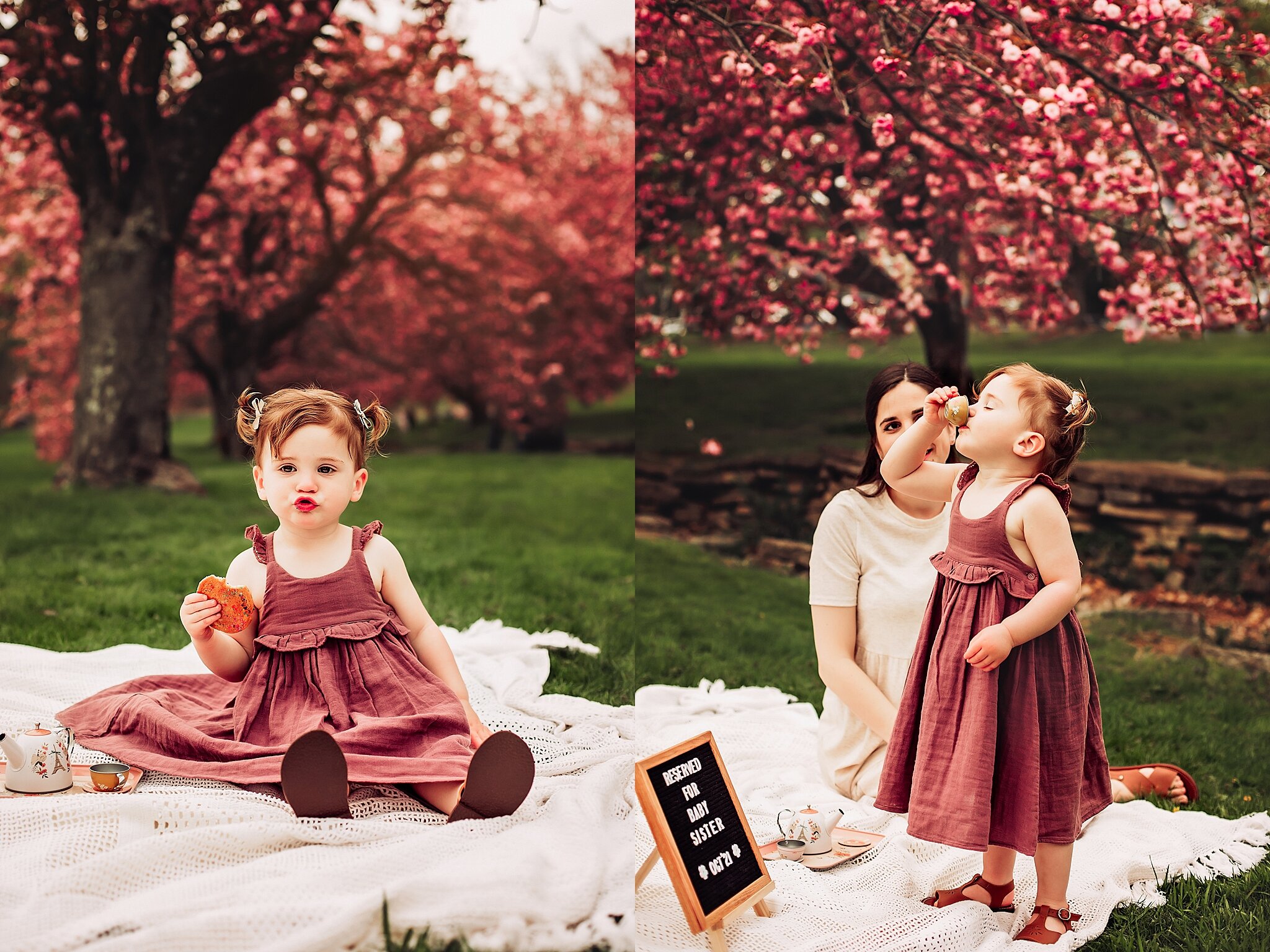 Cherry Blossom Baby Announcement Morristown NJ Photographer_0012.jpg