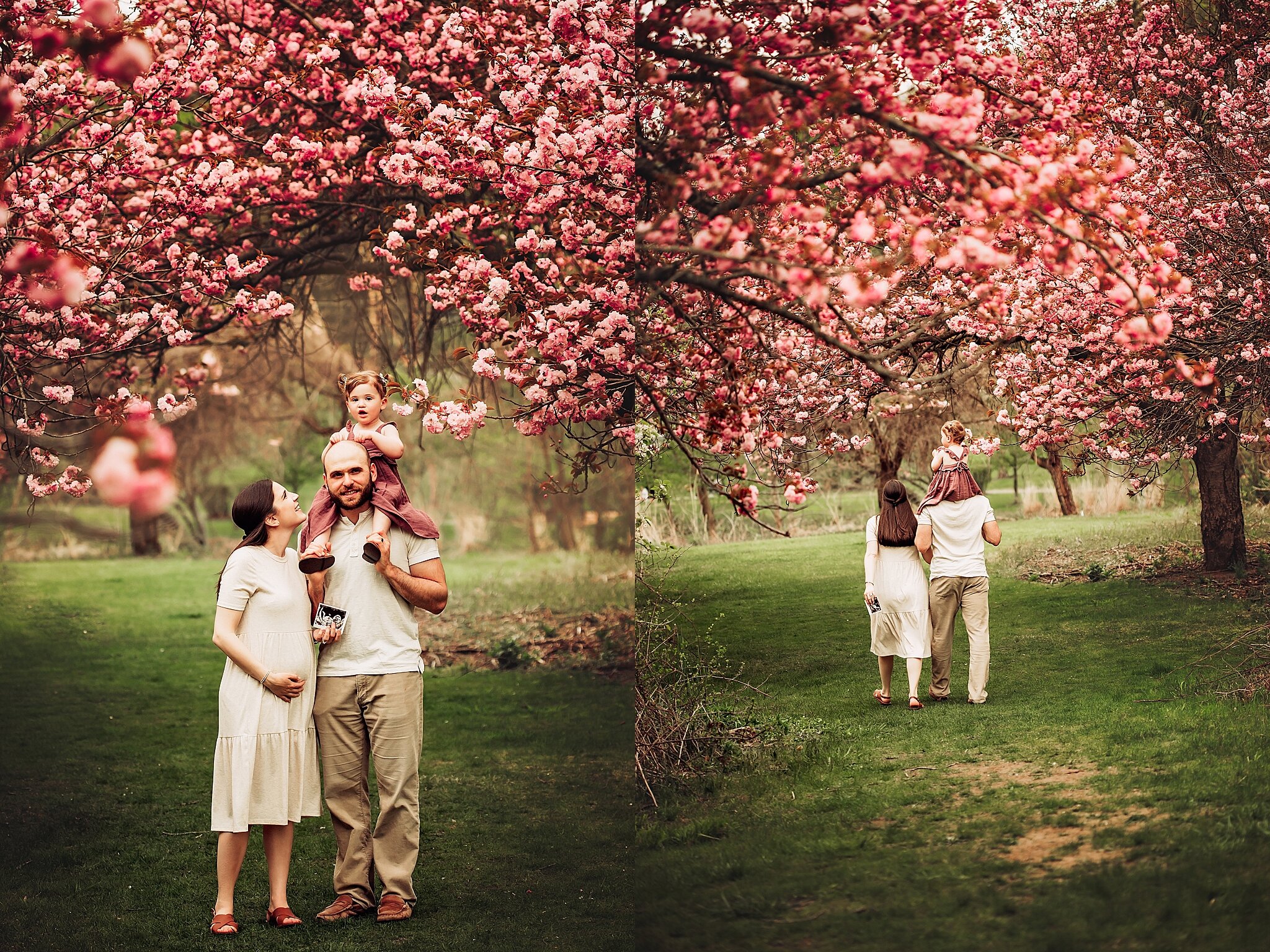 Cherry Blossom Baby Announcement Morristown NJ Photographer_0019.jpg