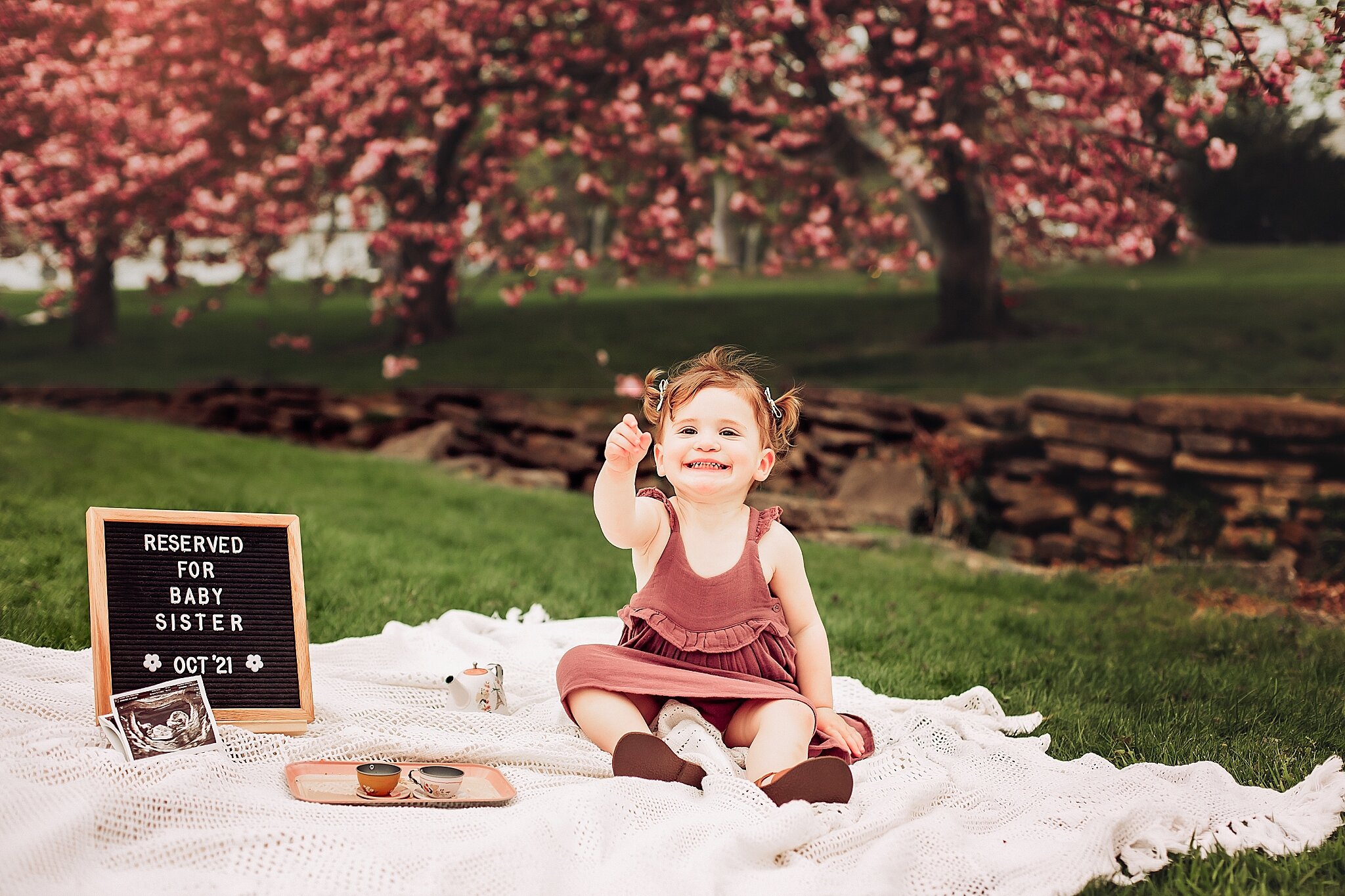 Cherry Blossom Baby Announcement Morristown NJ Photographer_0020.jpg