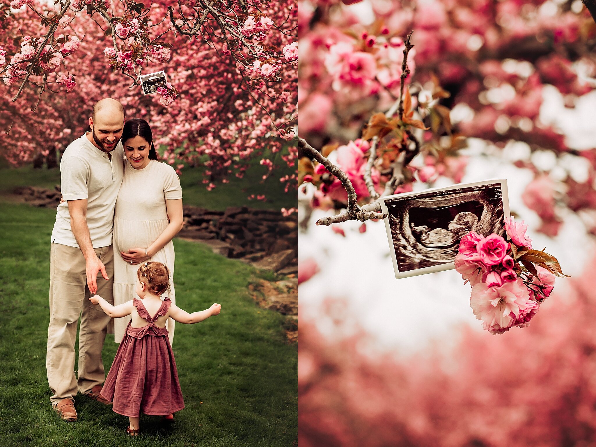 Cherry Blossom Baby Announcement Morristown NJ Photographer_0021.jpg