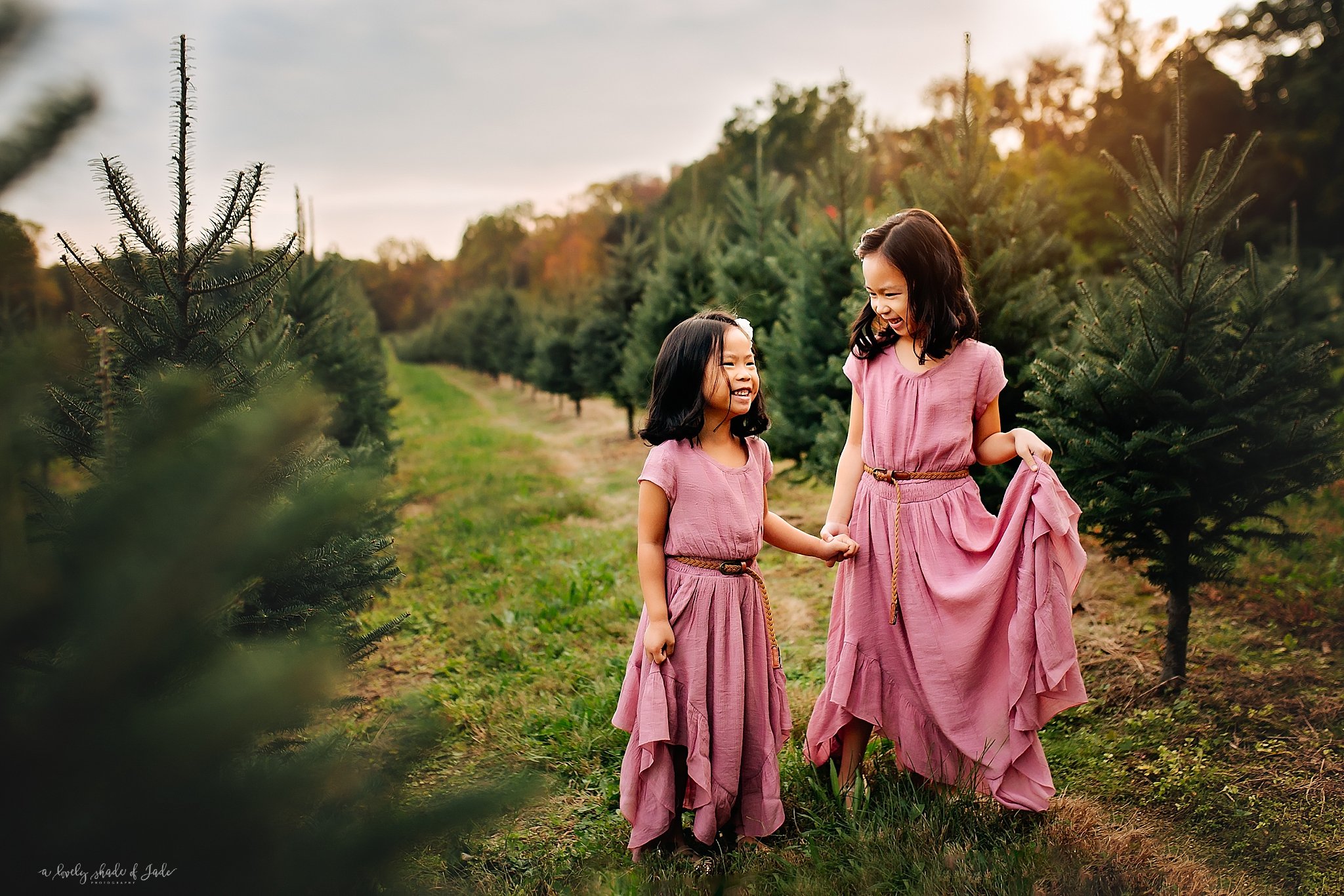 New_Jersey_Tree_Farm_Mini_Sessions_Morristown_Photographer_0000.jpg