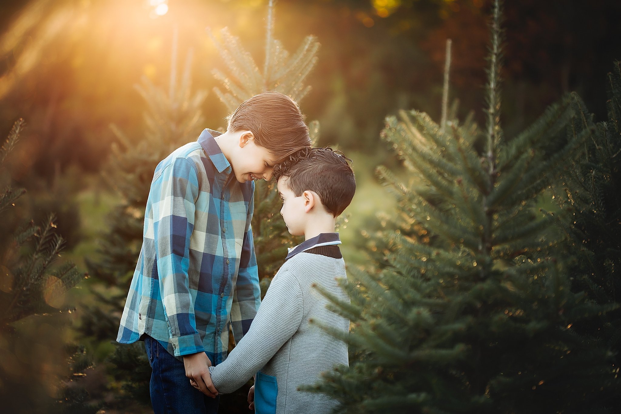 New_Jersey_Tree_Farm_Mini_Sessions_Morristown_Photographer_0015.jpg