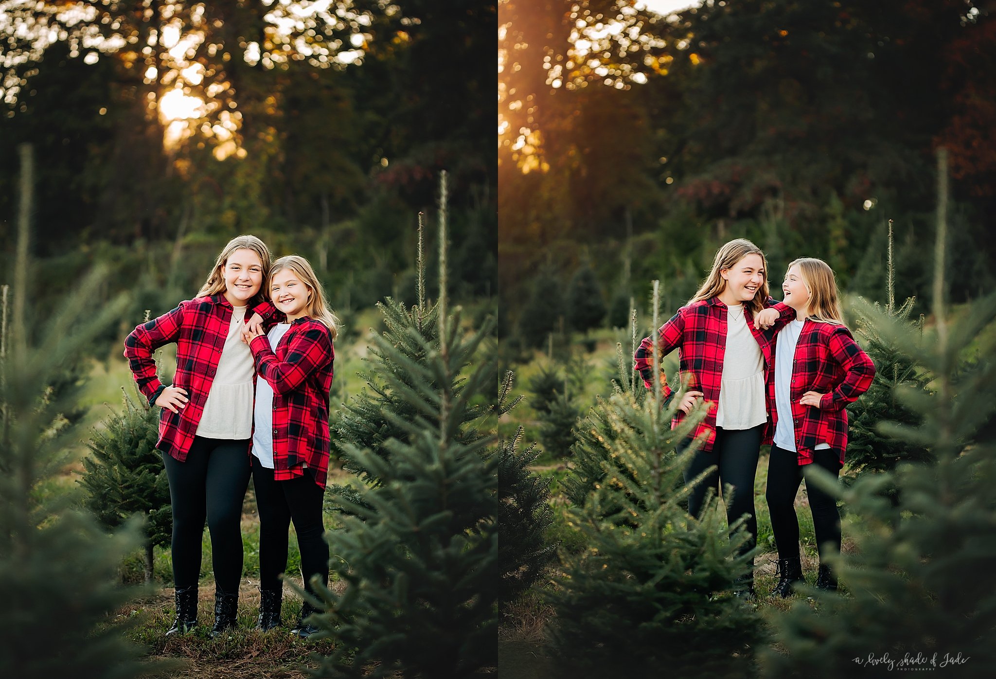 New_Jersey_Tree_Farm_Mini_Sessions_Morristown_Photographer_0073.jpg