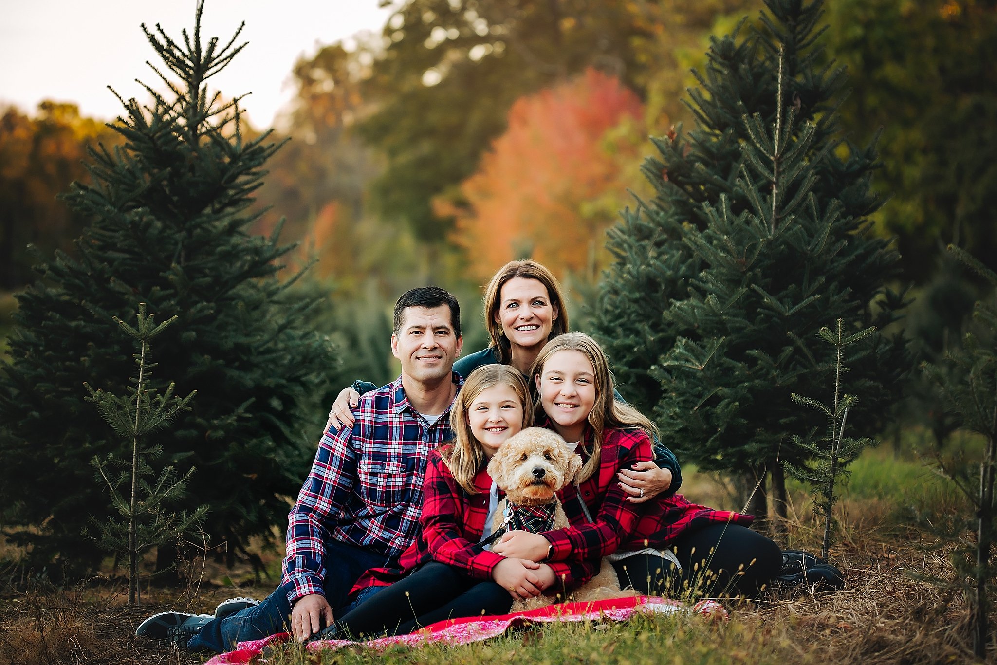 New_Jersey_Tree_Farm_Mini_Sessions_Morristown_Photographer_0074.jpg