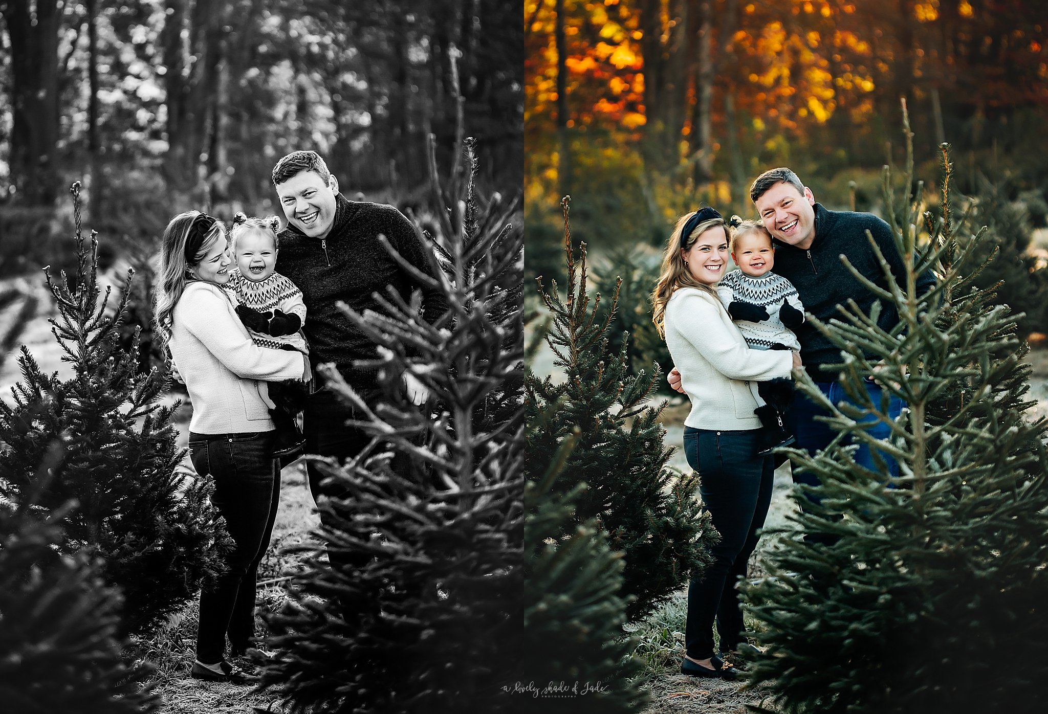 New_Jersey_Tree_Farm_Mini_Sessions_Morristown_Photographer_0023.jpg