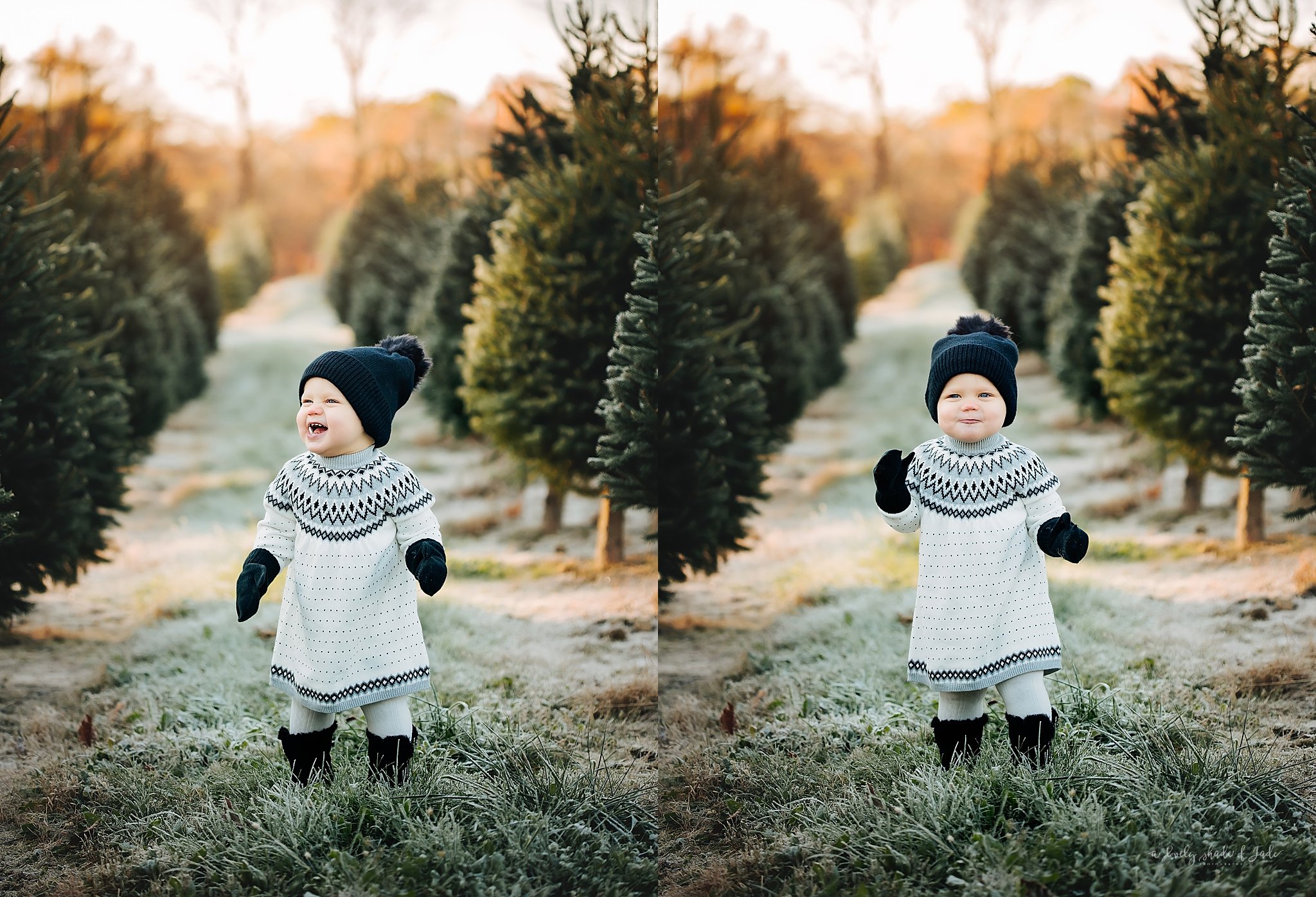 New_Jersey_Tree_Farm_Mini_Sessions_Morristown_Photographer_0026.jpg