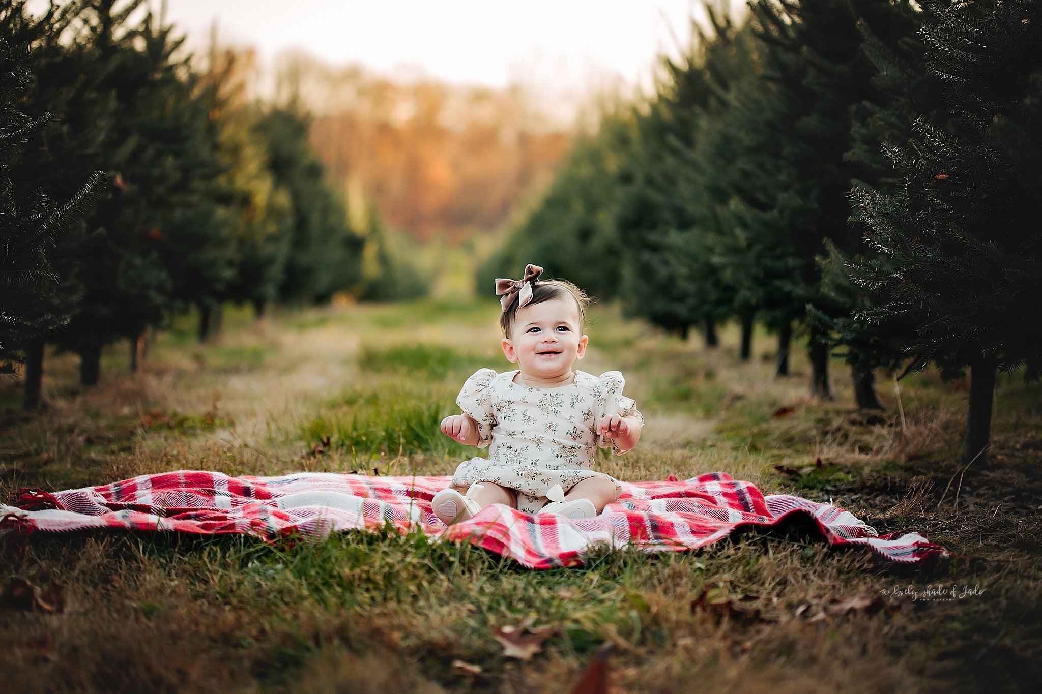 New_Jersey_Tree_Farm_Mini_Sessions_Morristown_Photographer_0030.jpg