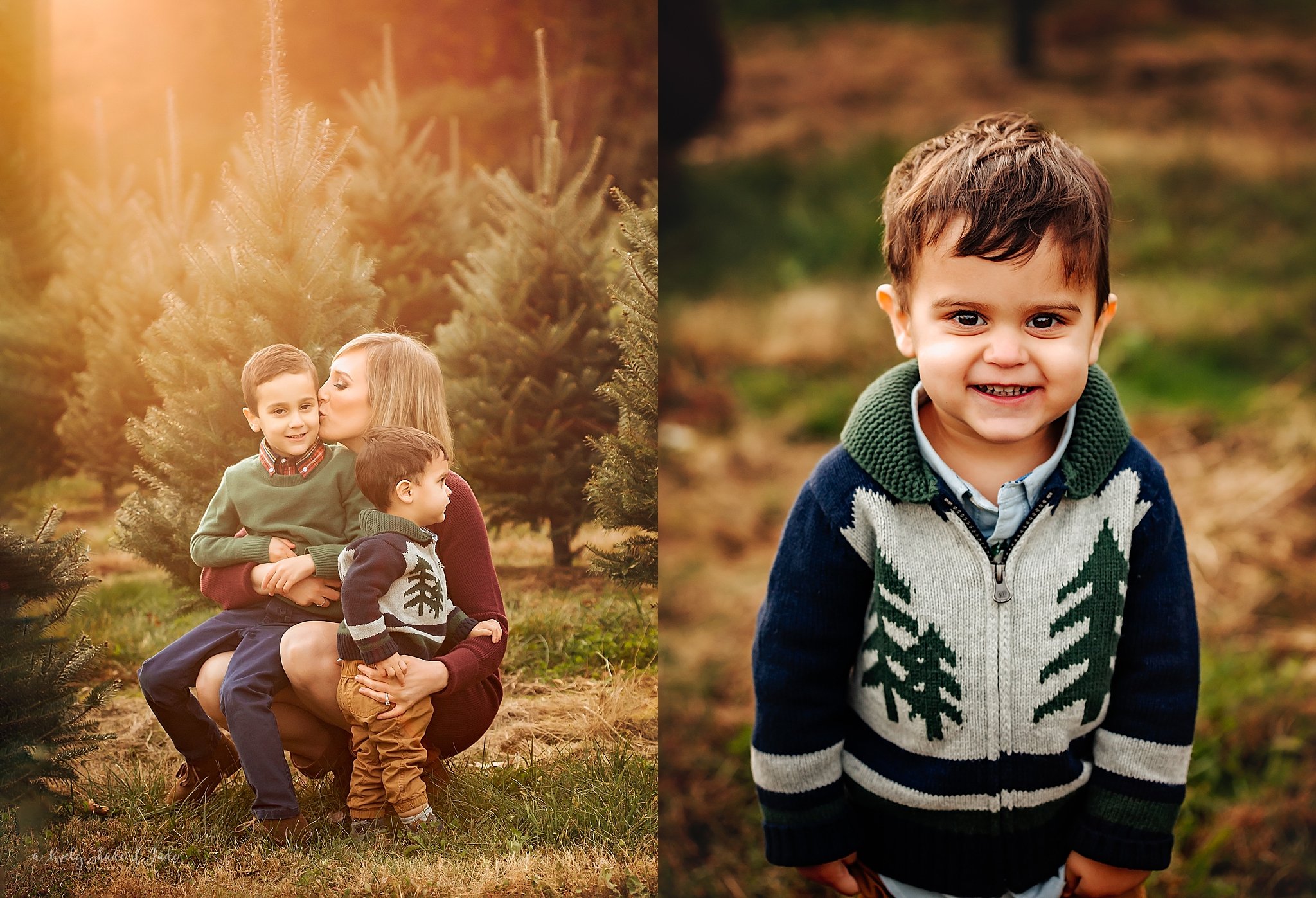 New_Jersey_Tree_Farm_Mini_Sessions_Morristown_Photographer_0081.jpg