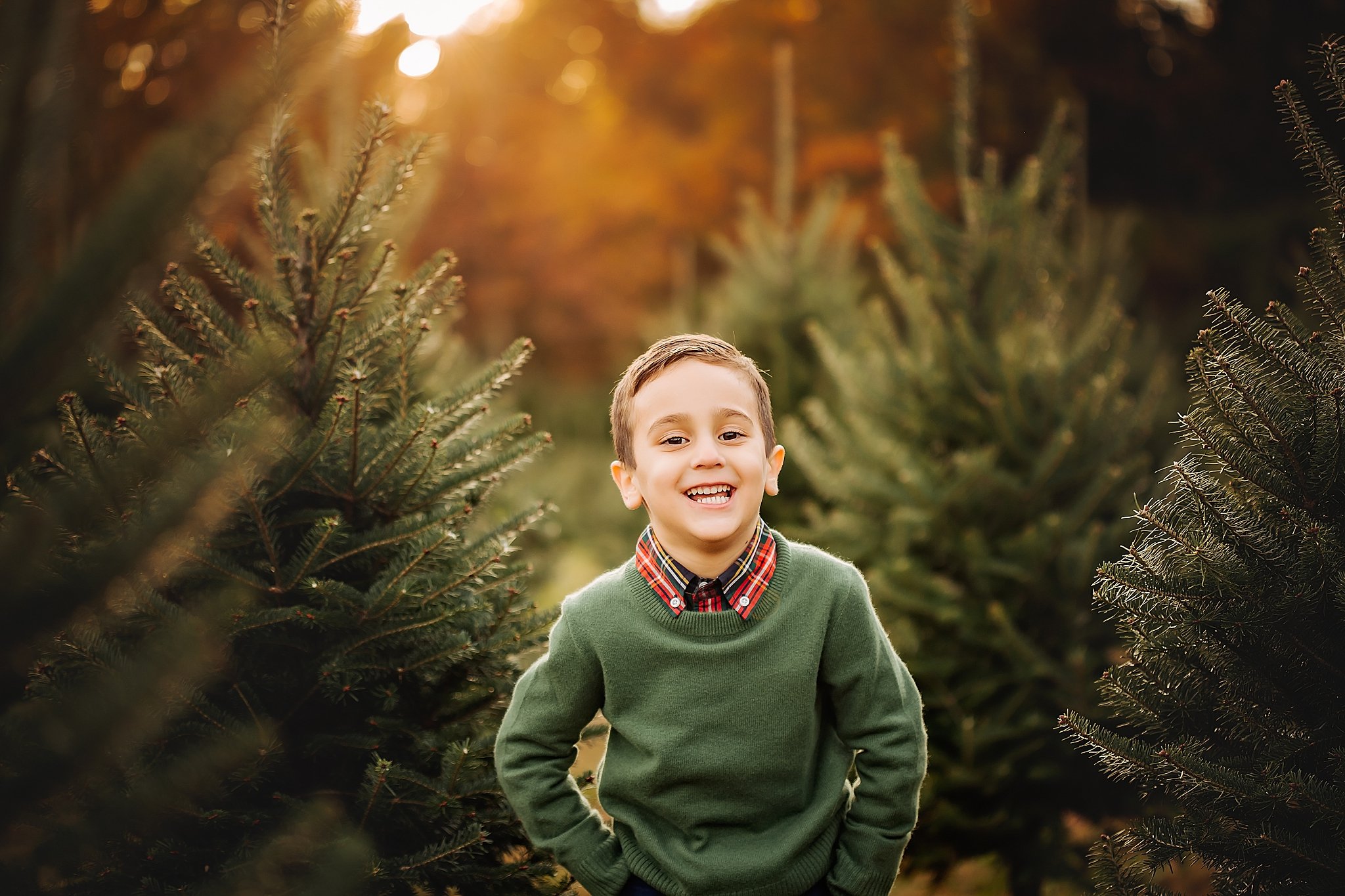 New_Jersey_Tree_Farm_Mini_Sessions_Morristown_Photographer_0083.jpg