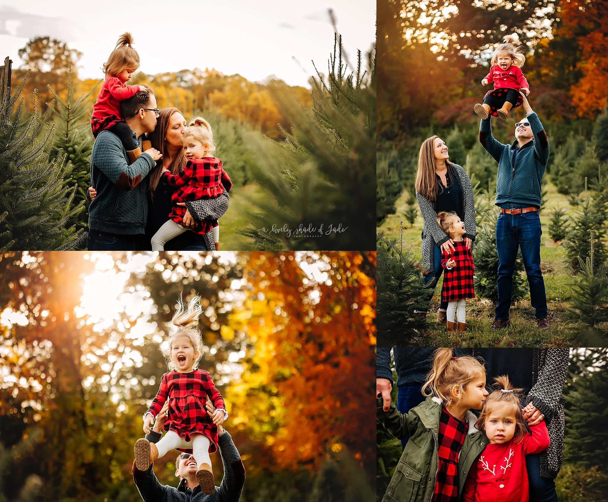 2022_New_Jersey_Tree_Farm_Holiday_Photographer_Recap_0000.jpg