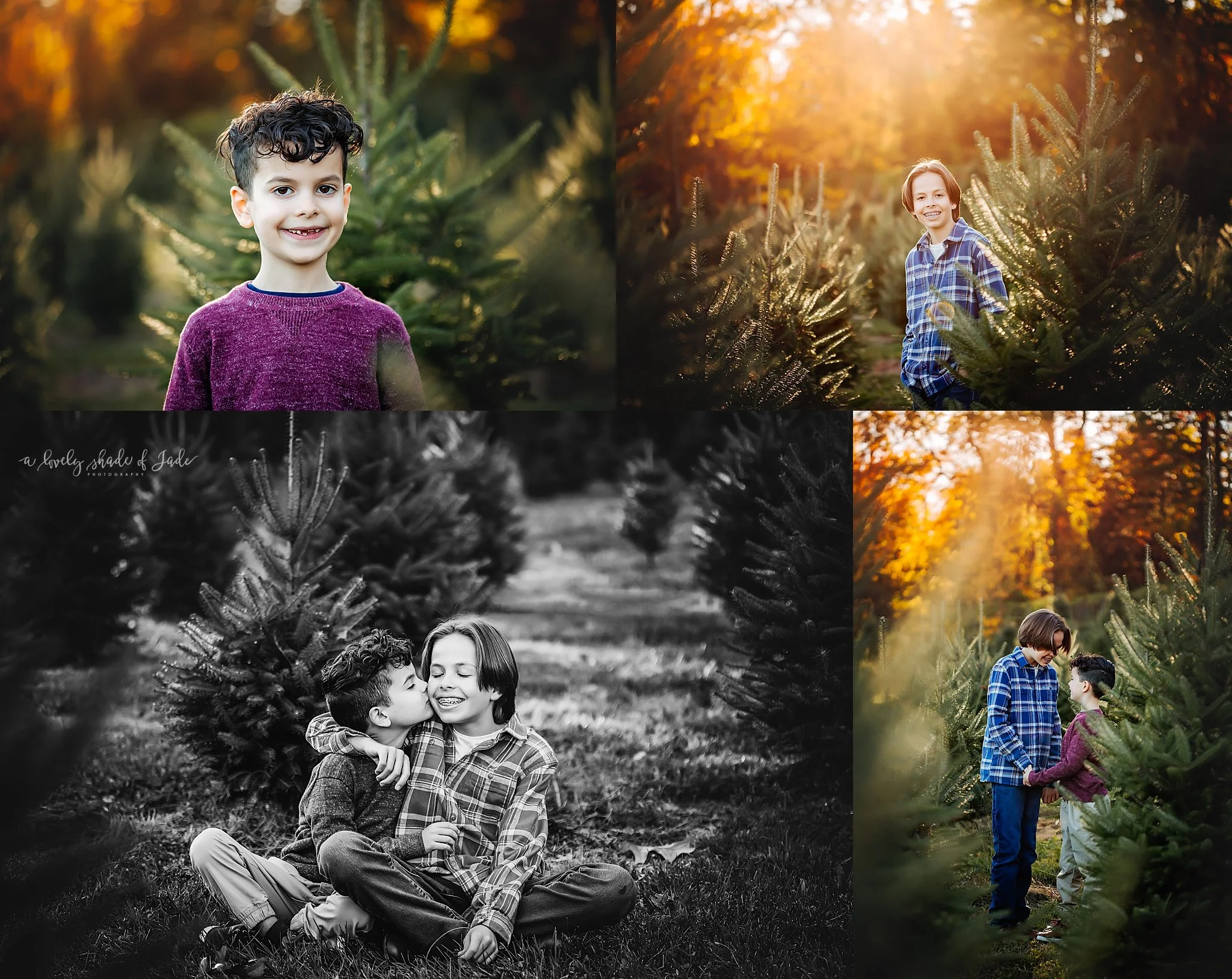 2022_New_Jersey_Tree_Farm_Holiday_Photographer_Recap_0003.jpg
