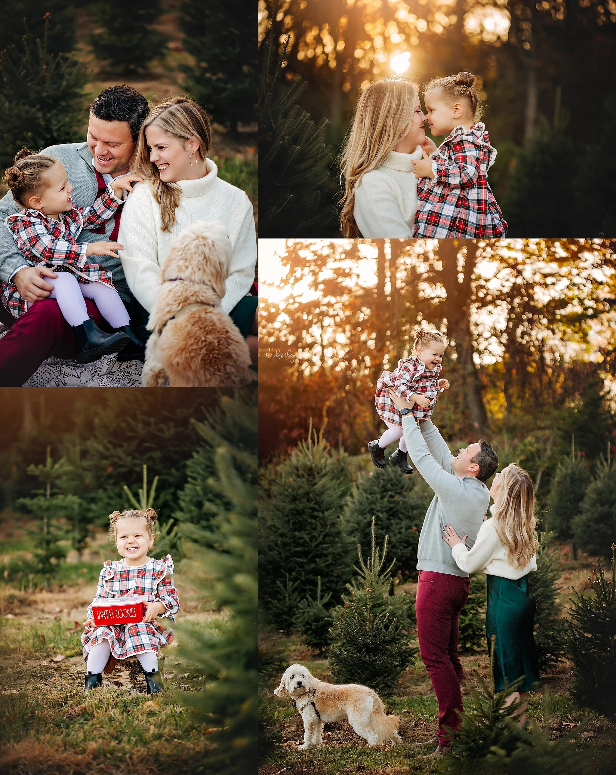 2022_New_Jersey_Tree_Farm_Holiday_Photographer_Recap_0006.jpg