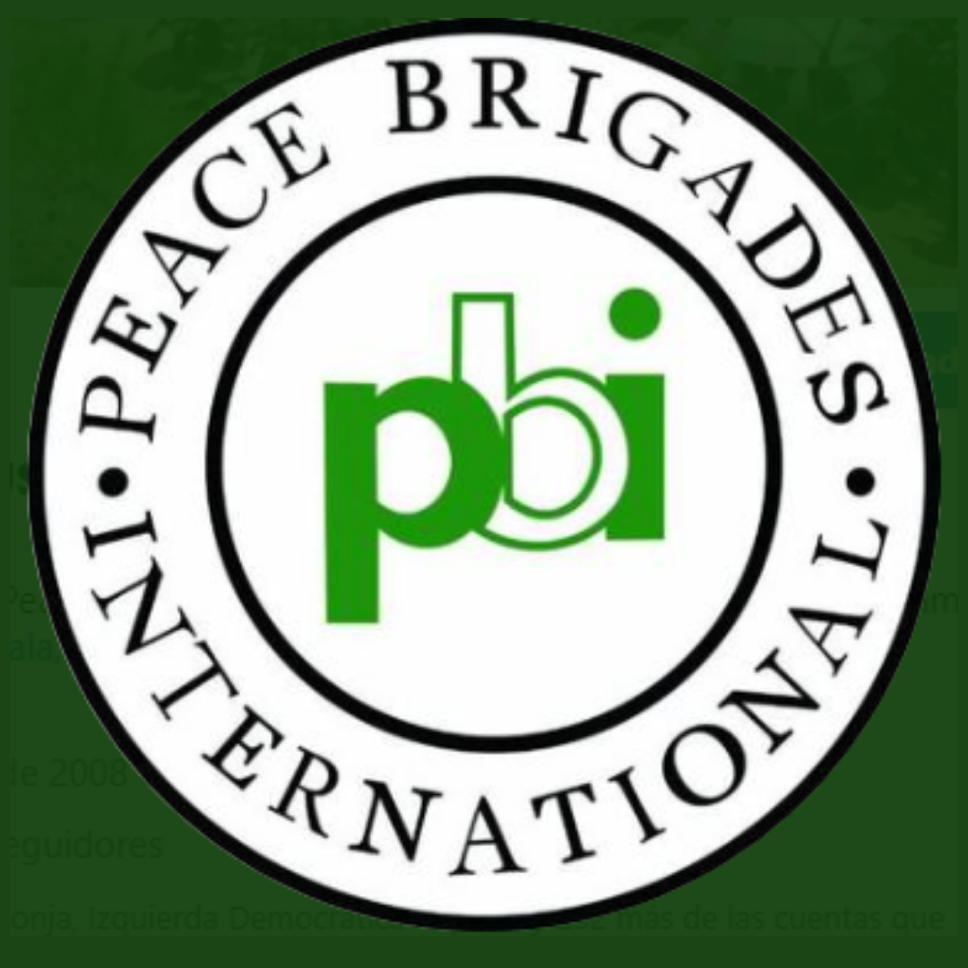 PMBI-1.png