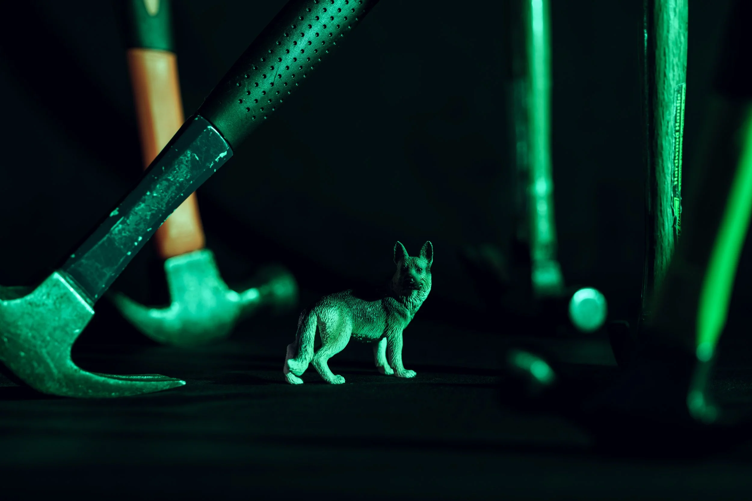 DSCF4316-Edit.jpg