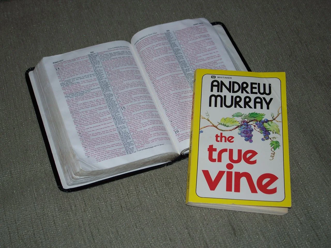 The True Vine, A Murray 138_5831