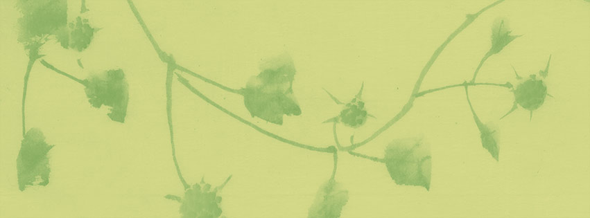 branch-background-green.jpg
