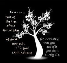 tree of knowledge.jpg