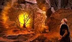 Burning-Bush-1.jpg