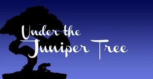 under the juniper tree.jpg
