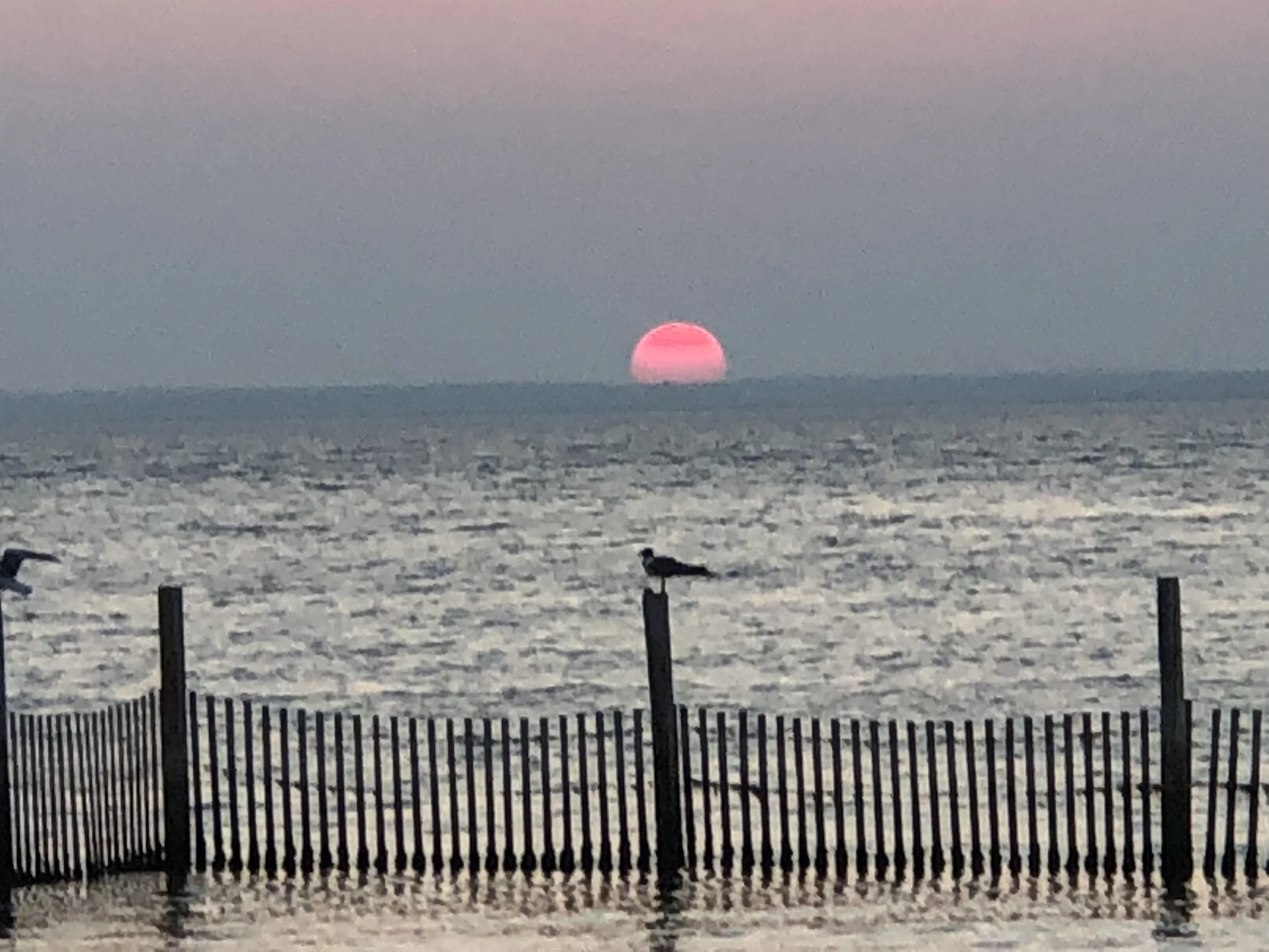 Virtual Ocean Bay Sunset: a Surprise in the Setting 