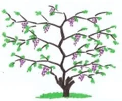 Abiding Today in this time of Quarantine and Every Today