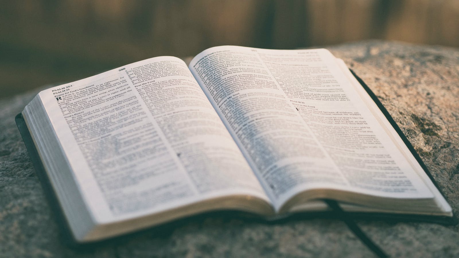 resolved-to-read-the-bible-zc7fors3.jpg