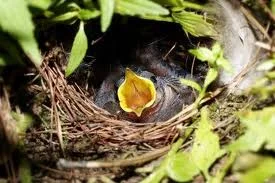 Stability for a Wobbly Day . . . short and sweet