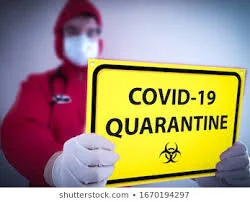 The Best Quarantine Ever!