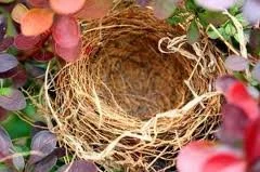 A Mothers' Day Pause -- The Emptying's
