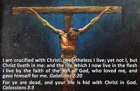 The Rest of the Gospel:  One Nature (chapter 8)