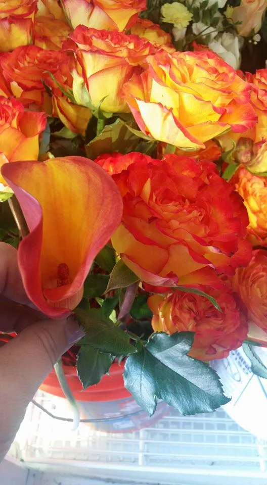 orange & yellow.jpg