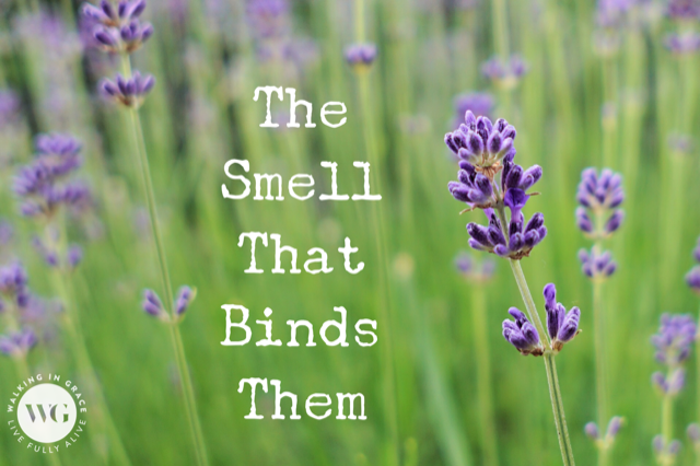 The Smell That Binds Them