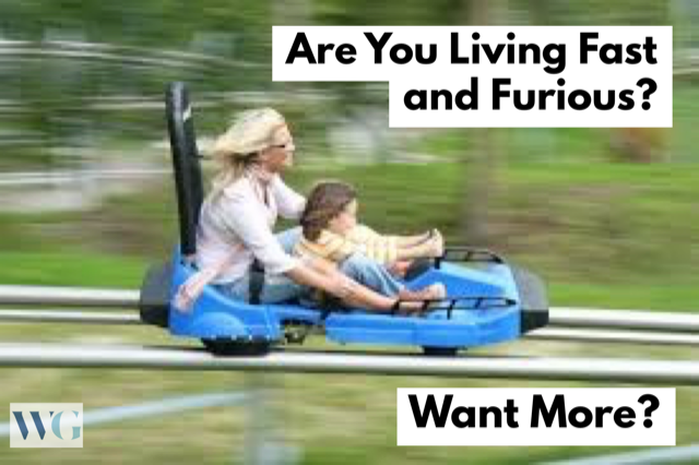 fast and furious.jpeg