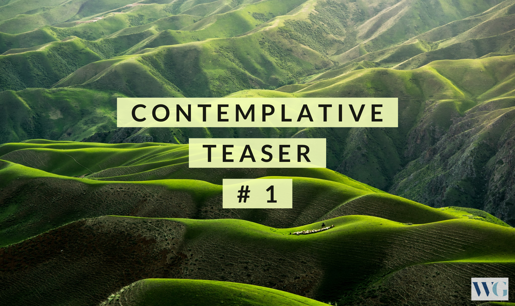 Contemplative Teaser # 1