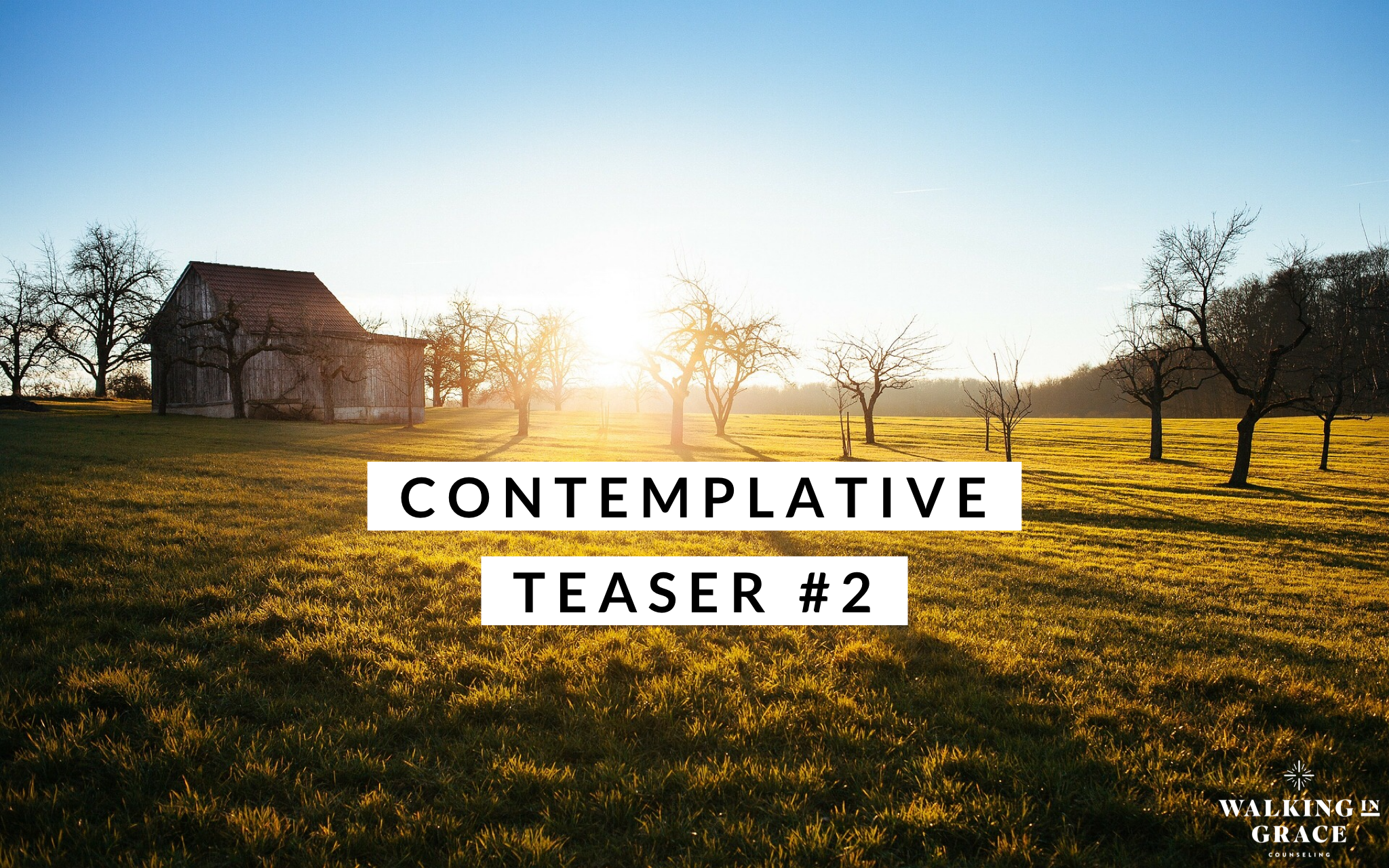 Contemplative Teaser #2