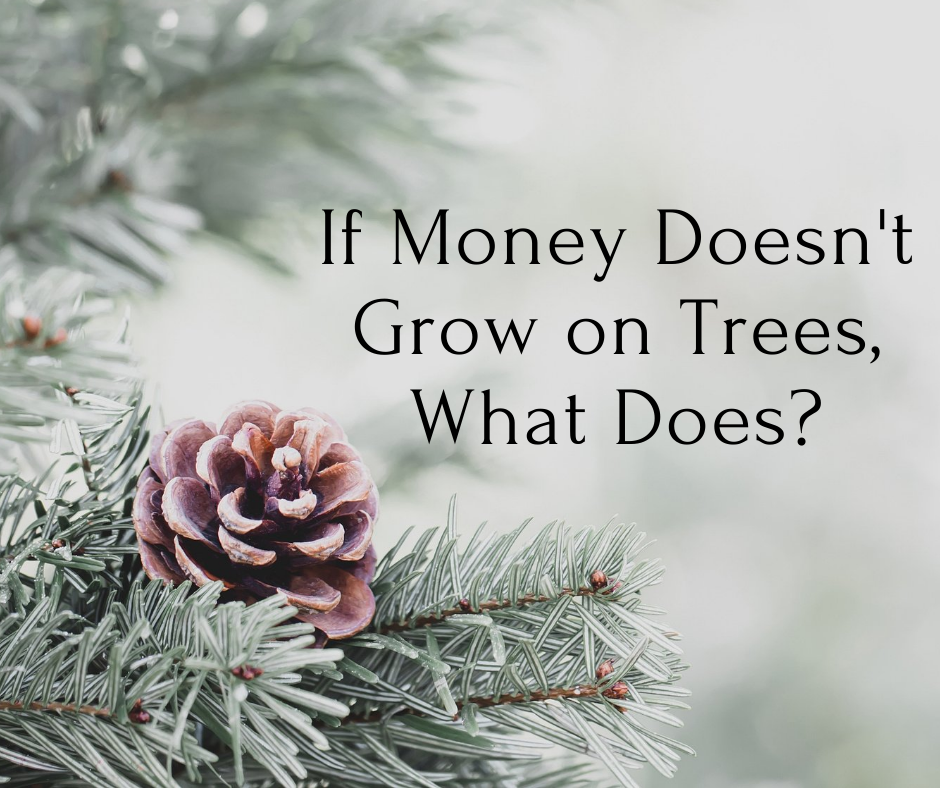 If Money Doesn't Grow on Trees, What Does?