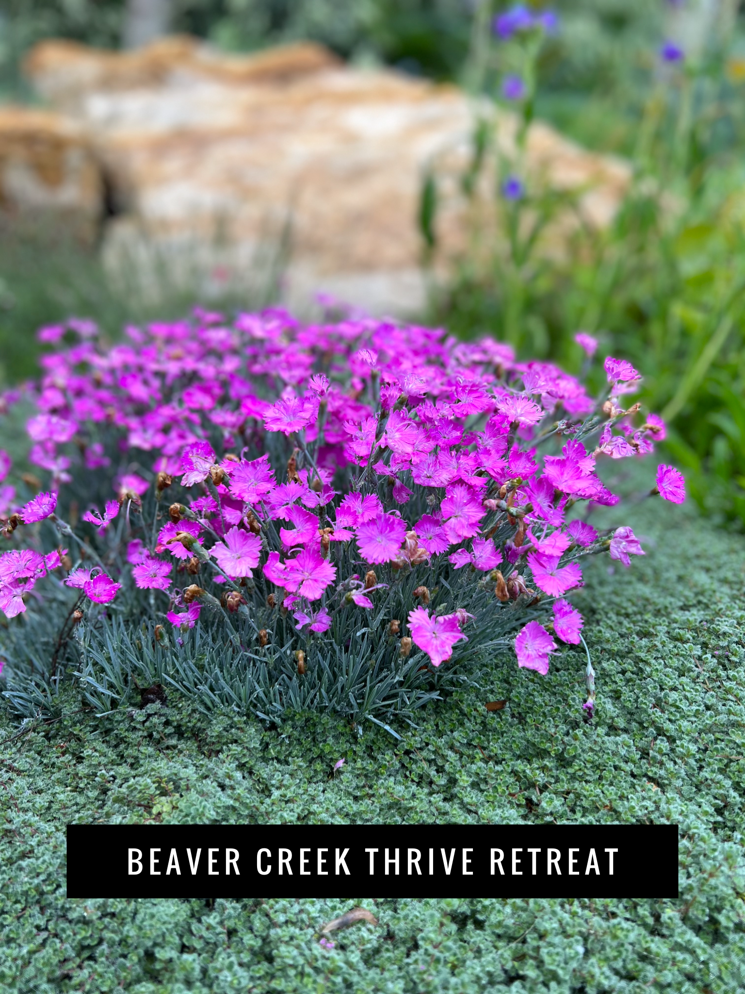 THRIVE RETREAT UPDATE