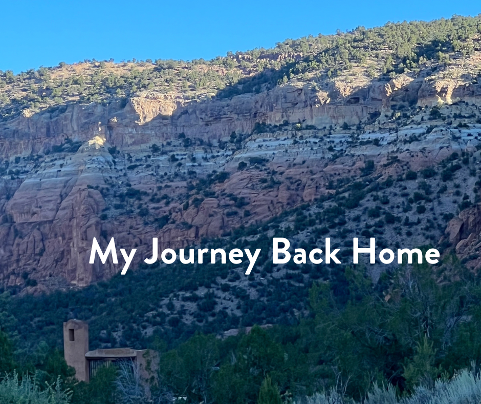 My Journey Back Home