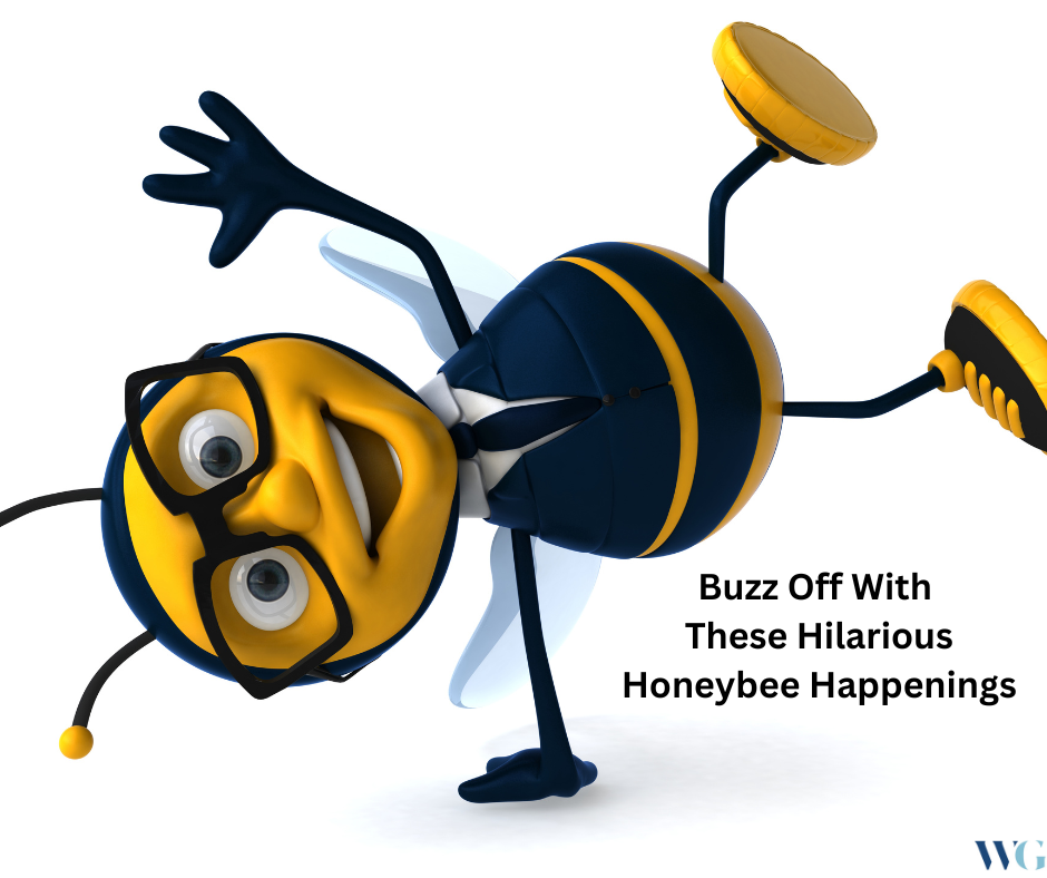 Buzz Off With These Hilarious Honeybee Happenings