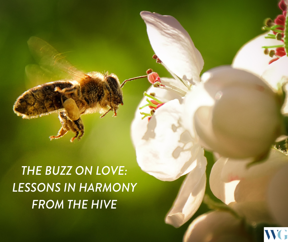 The Buzz on Love: Lessons in Harmony from the Hive