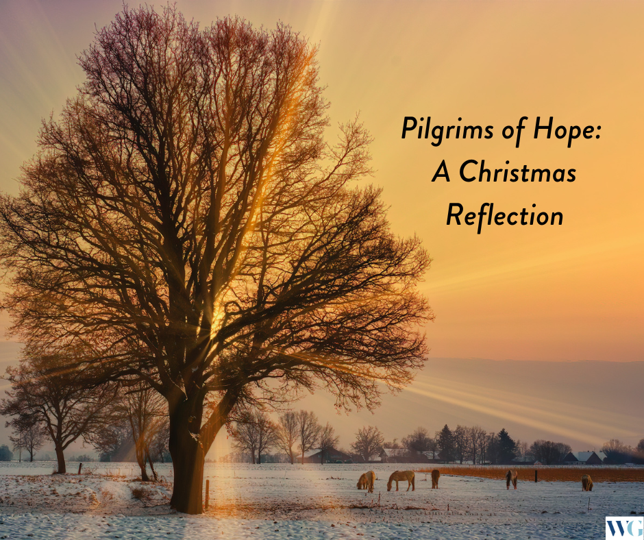 Pilgrims of Hope: A Christmas Reflection