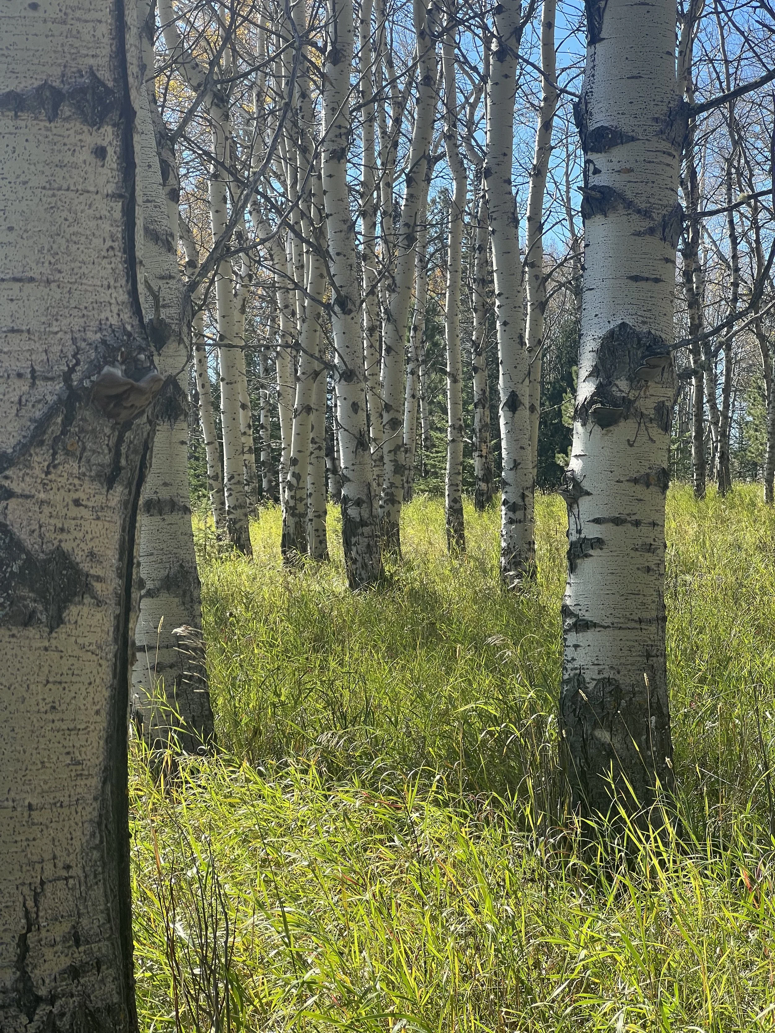 Thin Places in Nature: Sacred Moments Shared with Friends