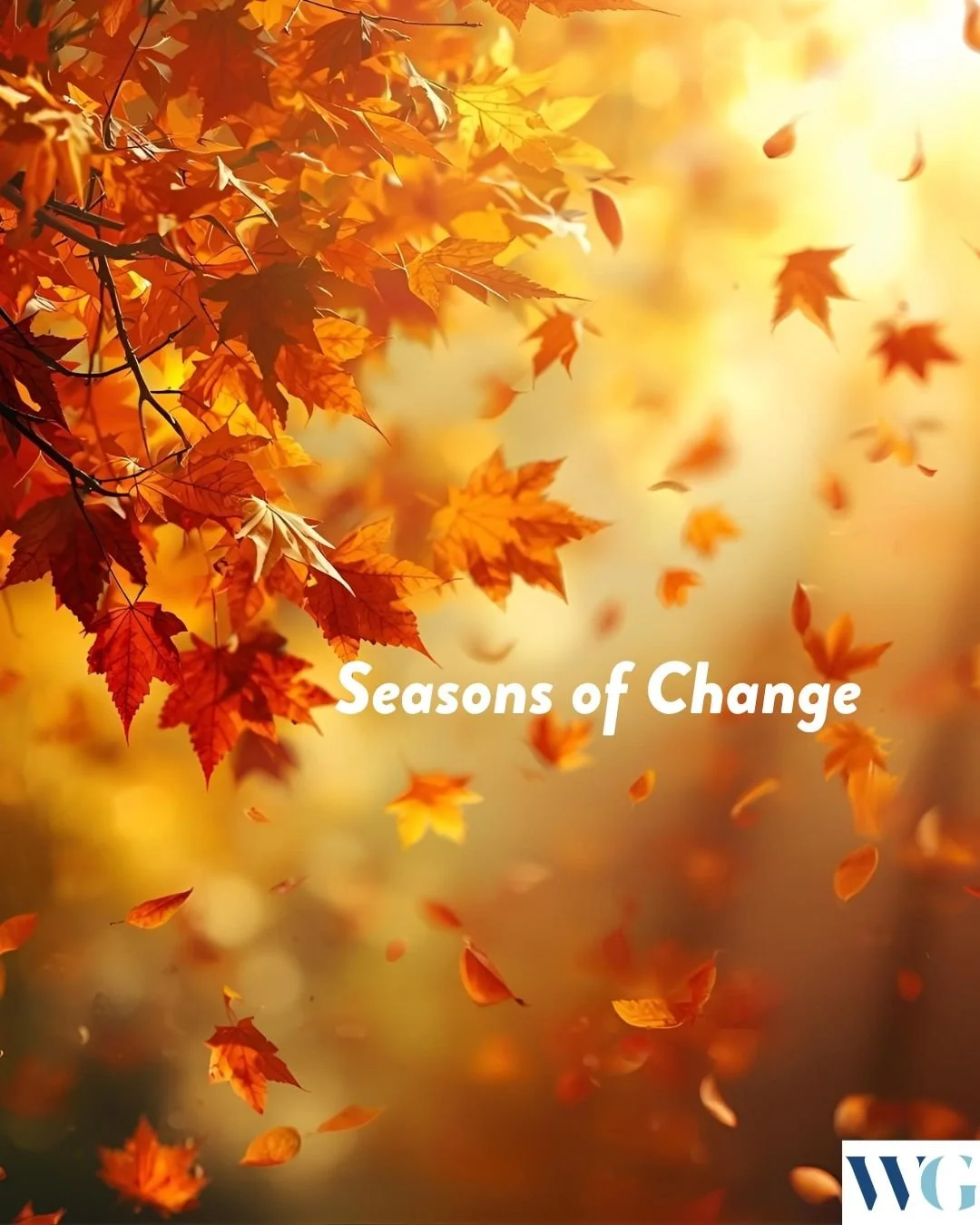 🍂 September is a season of change&mdash;in nature and in life. As the leaves turn, we&rsquo;re reminded that transformation is possible for all of us.

September is also National Recovery Month, honoring the courage of those who choose healing and n