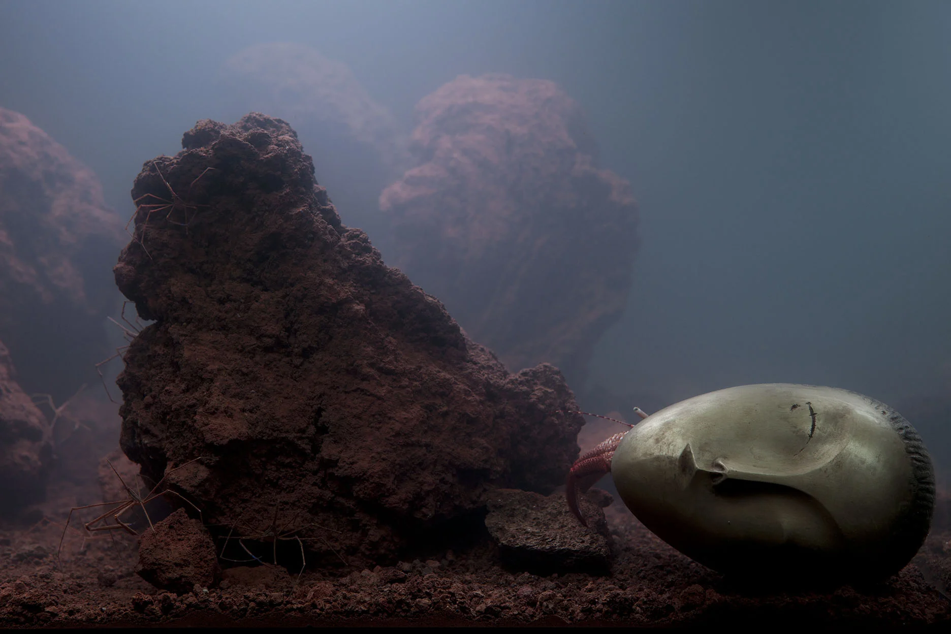 Pierre Huyghe