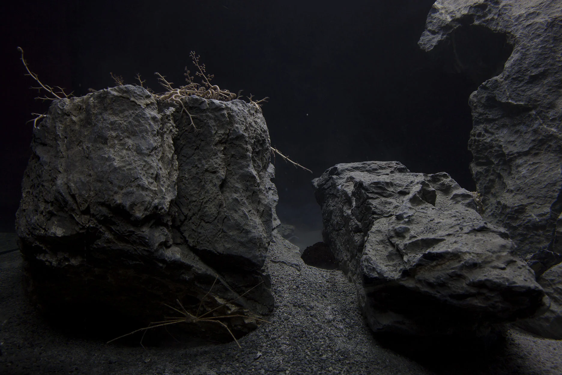 Pierre Huyghe, Marian Goodman