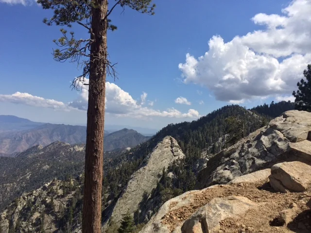 Up in the San Jacinto Mountains